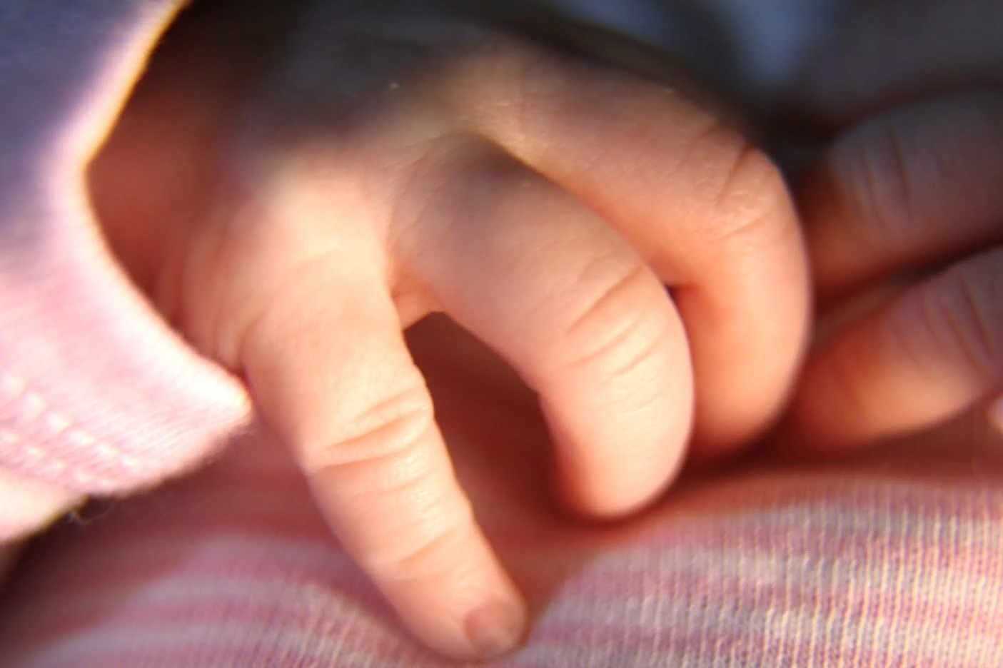 Newborn Photography kobi.studio